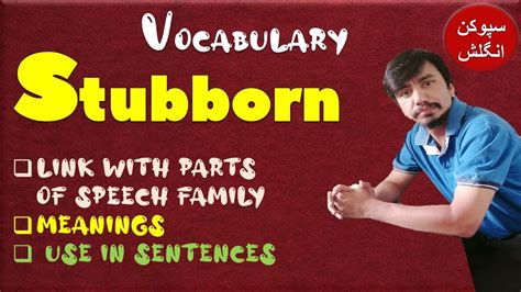 stubbornly meaning in urdu